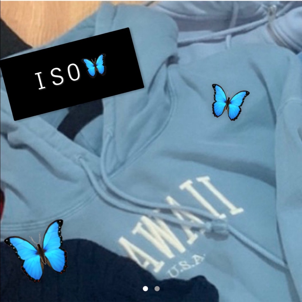 ISO Brandy Melville blue Hawaii hoodie
